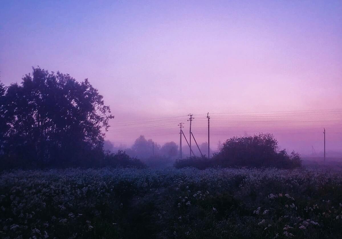 无言蒙恬依旧死战不退，紫幻小乔关键控制狼队打出零换二